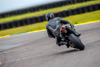 PJ-Motorsport-2019;anglesey-no-limits-trackday;anglesey-photographs;anglesey-trackday-photographs;enduro-digital-images;event-digital-images;eventdigitalimages;no-limits-trackdays;peter-wileman-photography;racing-digital-images;trac-mon;trackday-digital-images;trackday-photos;ty-croes